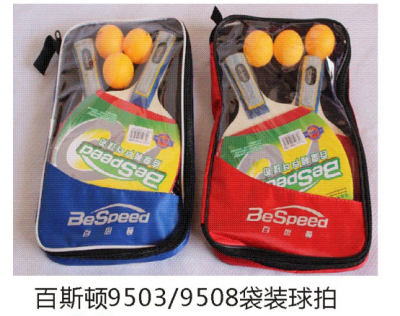 ��˹��9503/9508��װ���ģ�44��