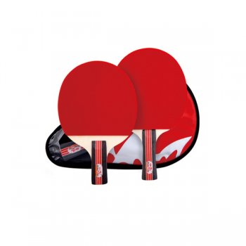 ˫2D-Cƹĳۼۣ48Ԫ/֧