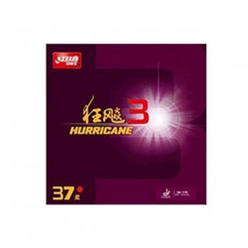 ˫ϲ׽373ɫ/ɫۼۣ240Ԫ/飩