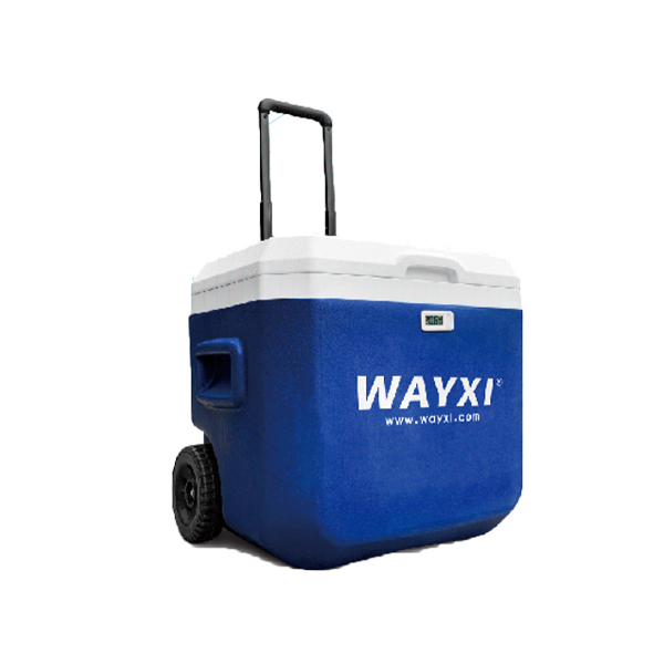 1654917898401864.jpg 309-3.jpg