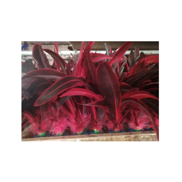 1655275427321267.jpg 374-8.jpg