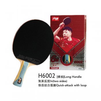 ˫ϲH6002ǳ˫ƹģۼۣ396Ԫ/֧