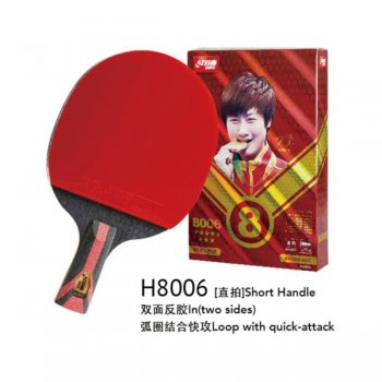 ˫ϲH8006Ƕ˫ƹģۼۣ576Ԫ/֧