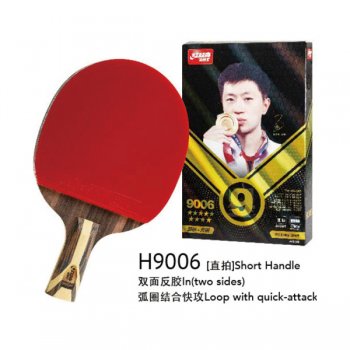 ˫ϲH9006Ƕ˫ƹģۼۣ760Ԫ/֧