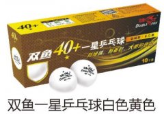 ˫��һ��ƹ�����ɫ��ɫ