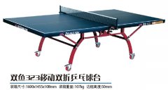 ˫��323�ƶ�˫��ƹ����̨