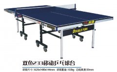 ˫��233�ƶ�ƹ����̨