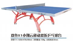 ˫��X1С�����ƶ�˫��ƹ����̨