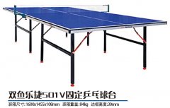 ˫���ֽ�501V�̶�ƹ����̨