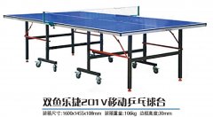 ˫���ֽ�201V�ƶ�ƹ����̨