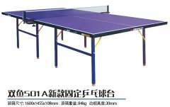 ˫��501A�¿�̶�ƹ����̨