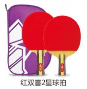 ��˫ϲ2������