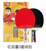 ��˫ϲ3������