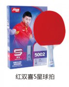 ��˫ϲ5������