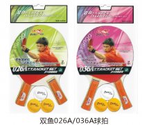 ˫��026A/036A����