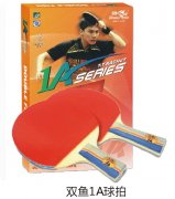 ˫��1A����