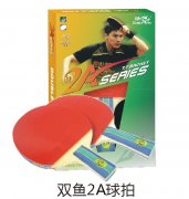 ˫��2A����