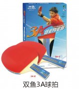 ˫��3A����