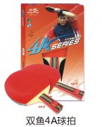 ˫��4A����