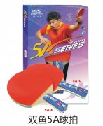 ˫��5A����