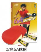 ˫��6A����