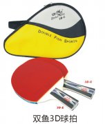 ˫��3D����