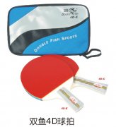 ˫��4D����