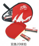 ˫��2D����