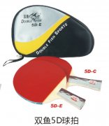 ˫��5D����