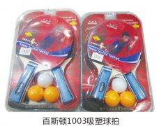 ��˹��1003��������