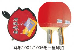 ����1002/1006��һ������