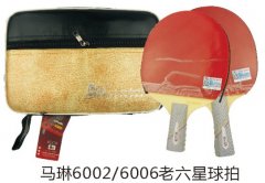 ����6002/6006����������