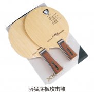 ���͵װ幥��ɷ