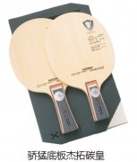 ���͵װ����̼��