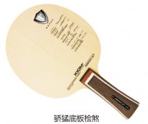 ���͵װ���ɷ