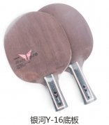 ����Y-16�װ�