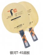 ����T-4S�װ�