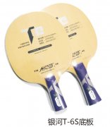 ����T-6S�װ�