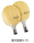 ���ӵװ�V-12