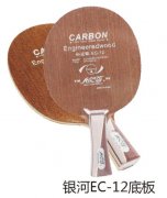 ����EC-12�װ�