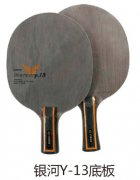 ����Y-13�װ�