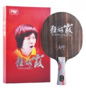 ��˫ϲ�װ���ϼ