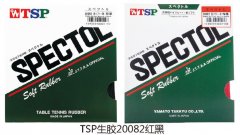 TSP����20082���