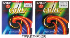 TSP����20505���