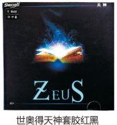 ���µ������׽����