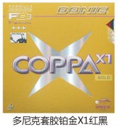 ������׽�����X1���