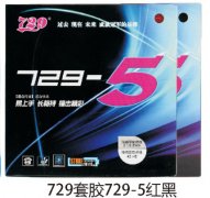 729�׽�729-5���