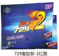 729�׽���-2���