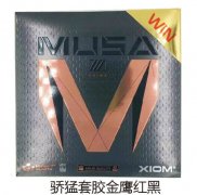 �����׽���ӥ���