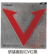 �����׽���V���